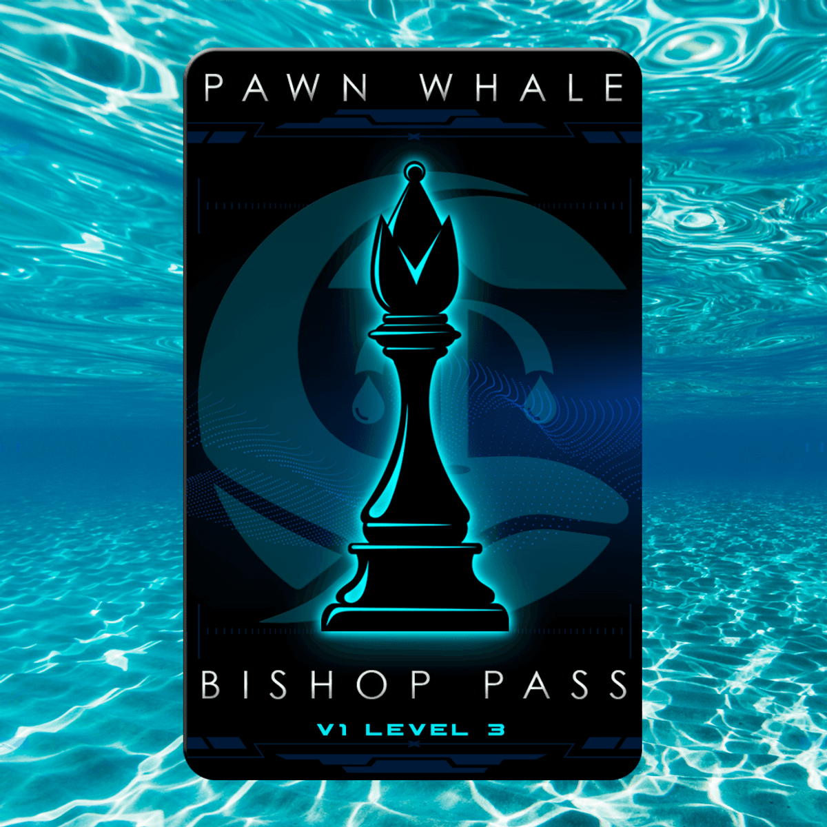 Pawn Whale Pass #999