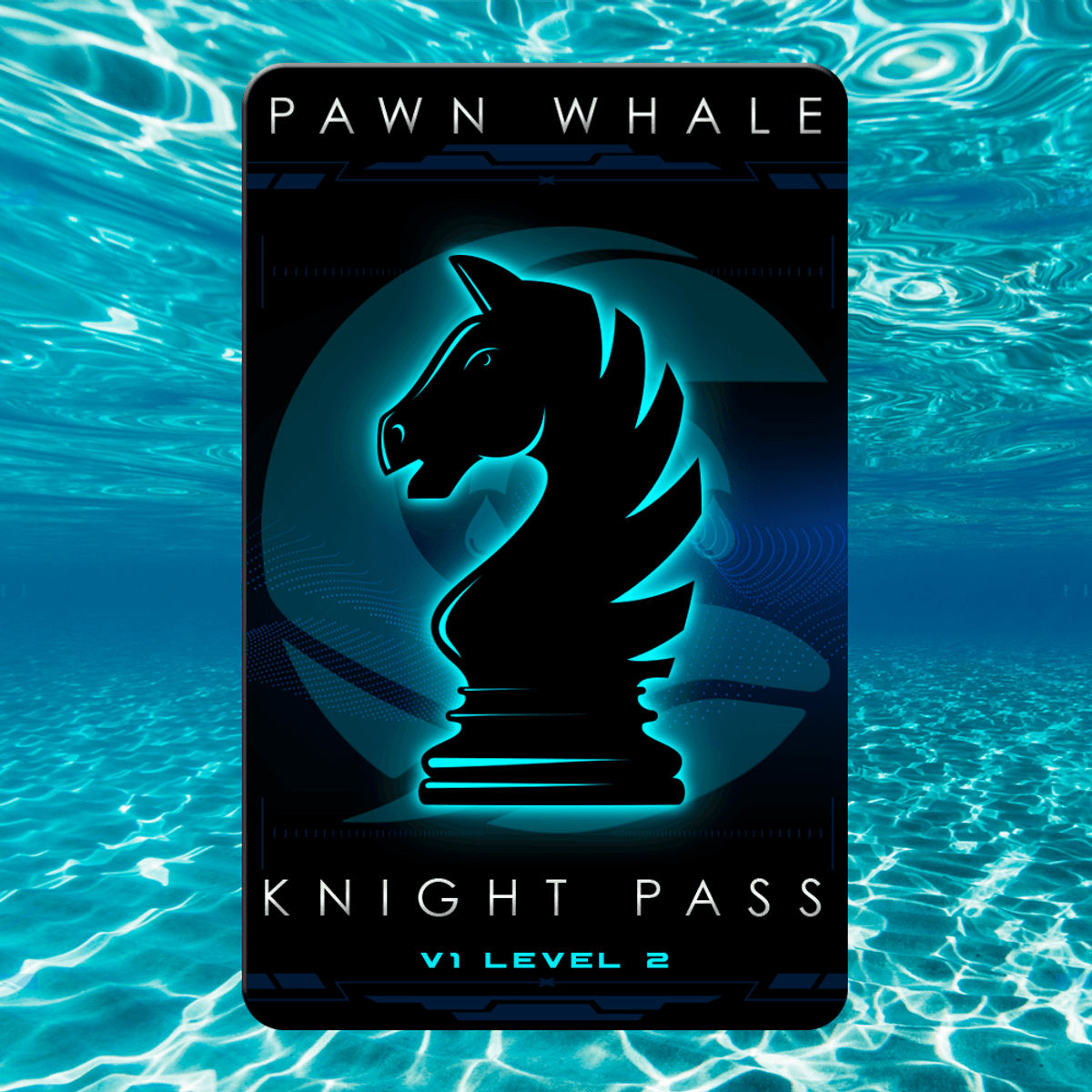 Pawn Whale Pass #1646