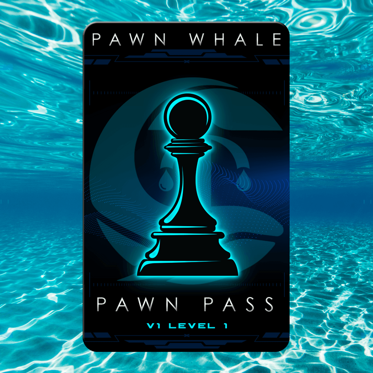 Pawn Whale Pass #2280