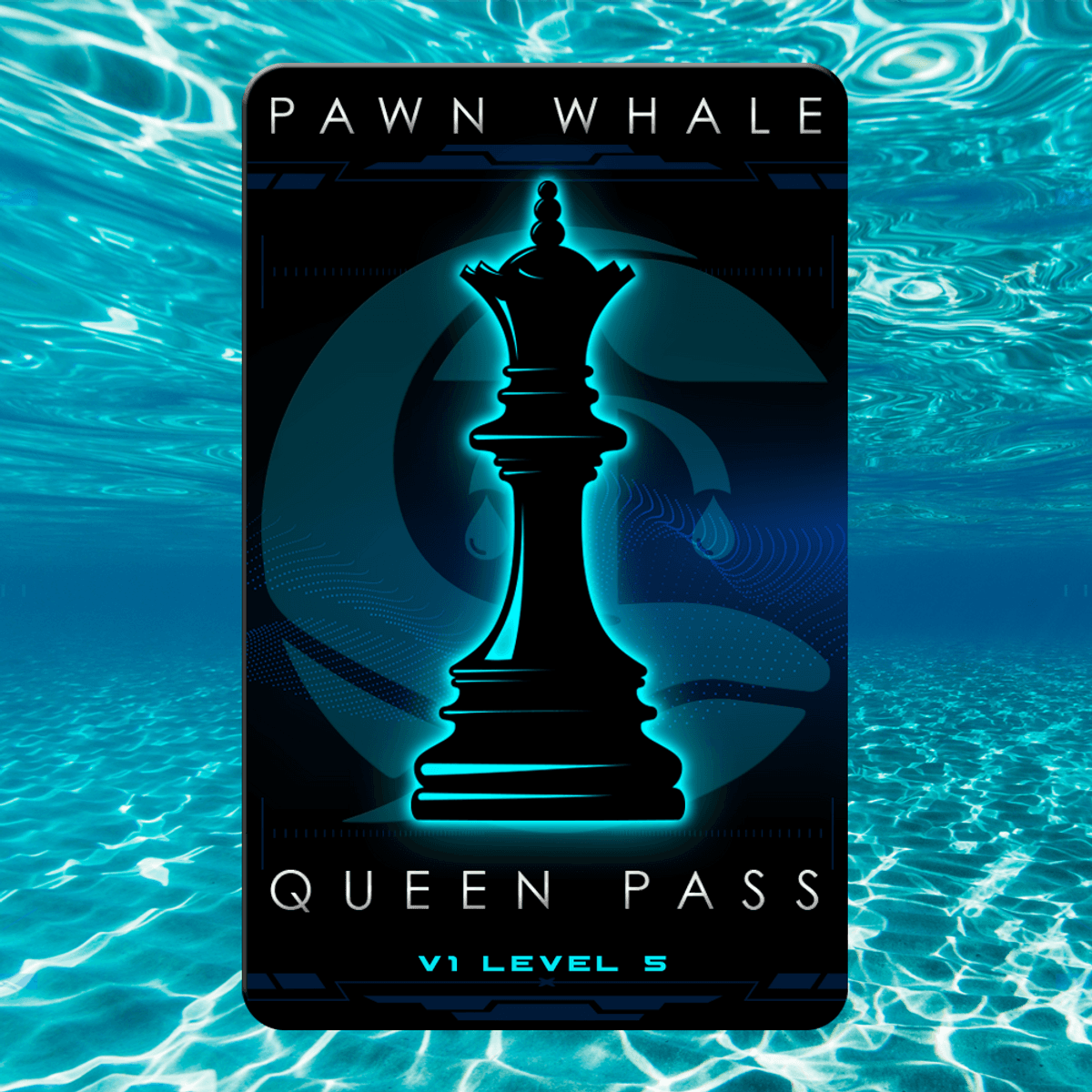 Pawn Whale Pass #1847